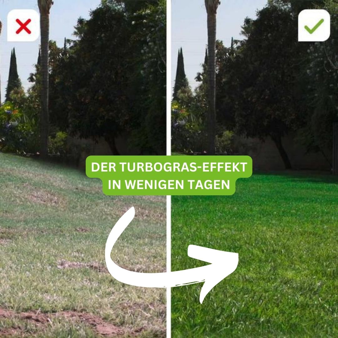 Turbogras - für gesundes und schnell wachsendes Gras inklusive kostenloses eBook für nachhaltige Gartenpflege