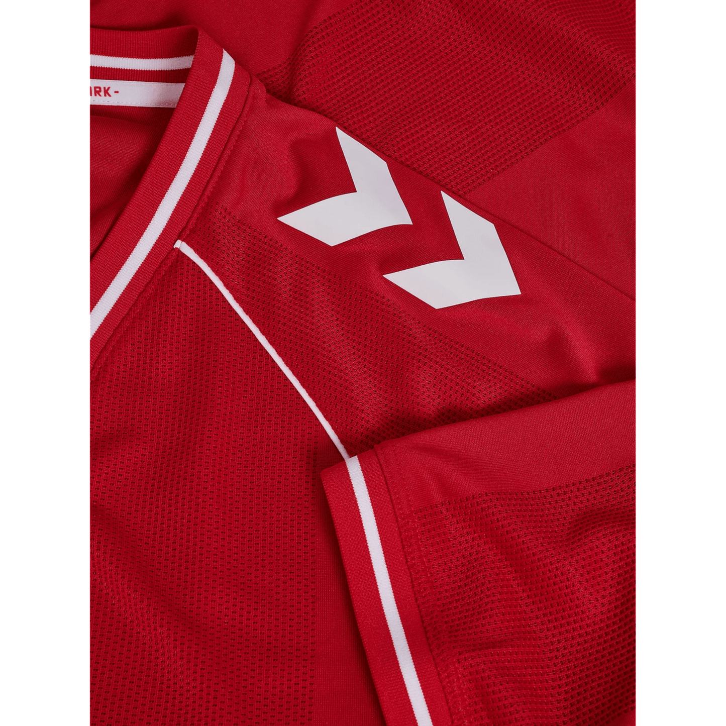 DBU DÄNEMARK Heimtrikot Herren 26 / 27