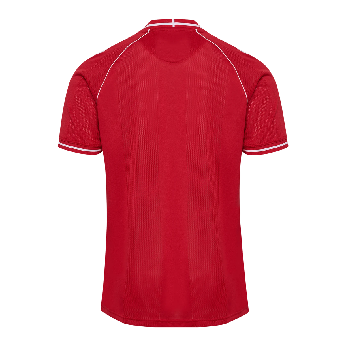DBU DÄNEMARK 2026/27 Maillot domicile homme