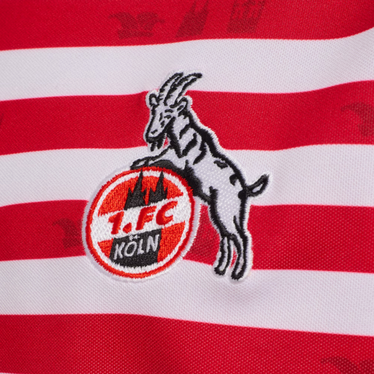 1. FC KÖLN Karnevals-Trikot Herren Langarm 25 / 26