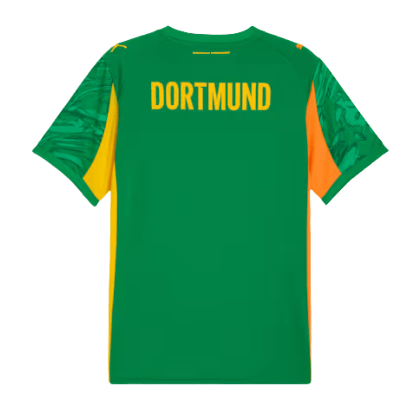 BVB BORUSSIA DORTMUND Torwarttrikot Herren Grün 25 / 26