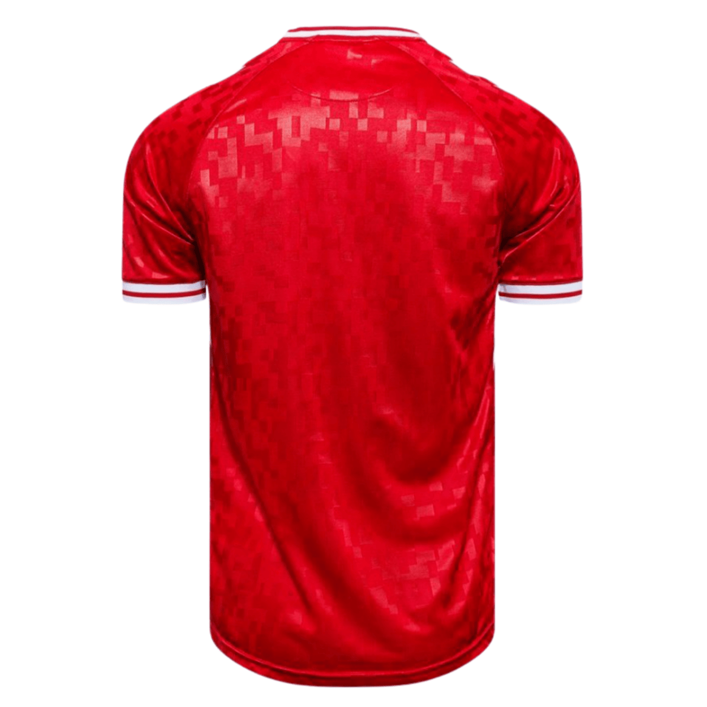 DBU DÄNEMARK Heimtrikot Herren EURO 2024
