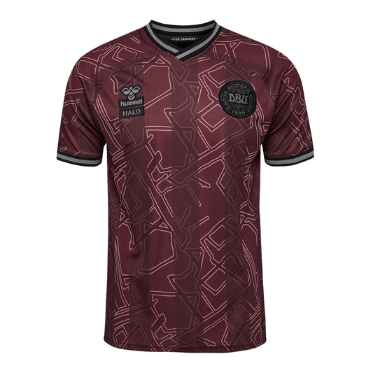 DBU DANEMARK X HALO maillot spécial homme 2024