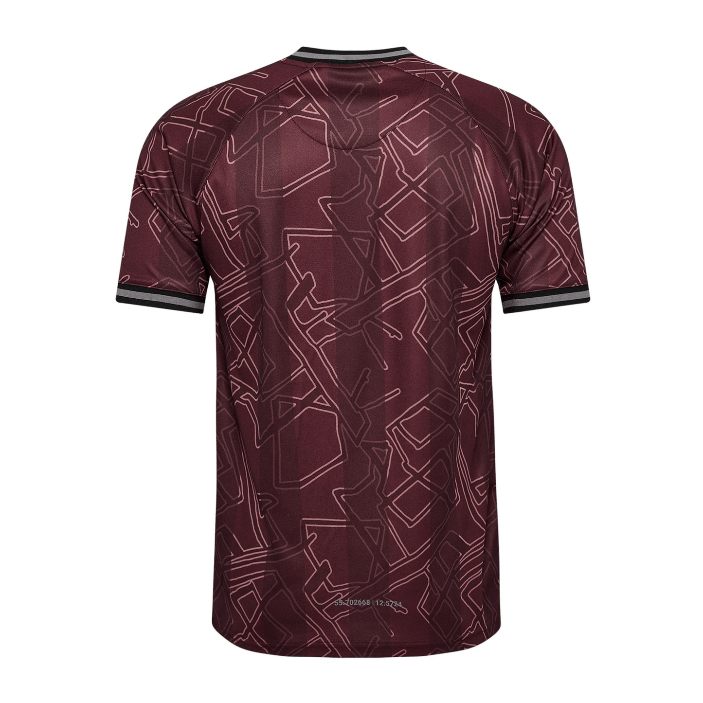 DBU DÄNEMARK X HALO Jersey Spezial Herren 2024