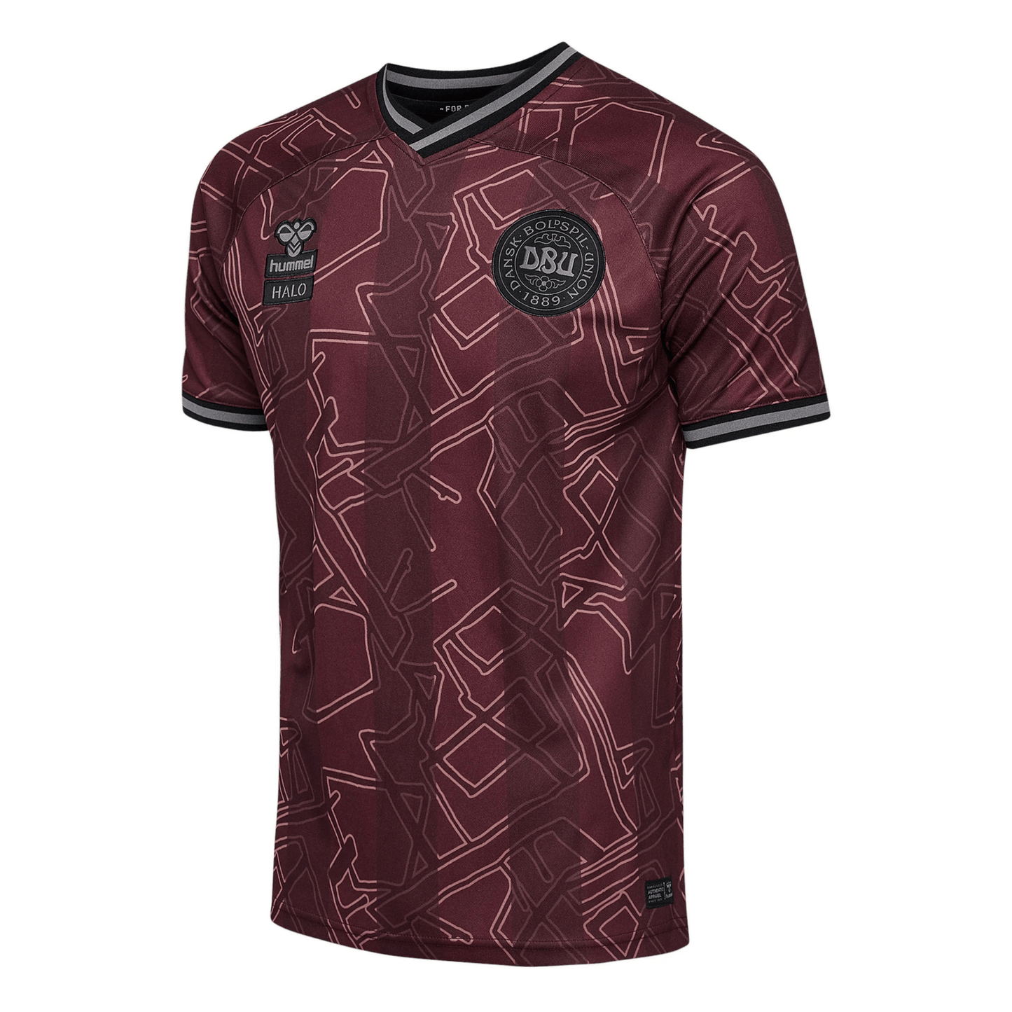 DBU DÄNEMARK X HALO Jersey Spezial Herren 2024