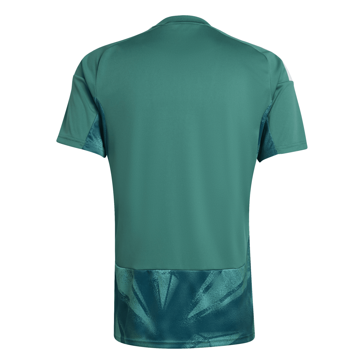 DFB DEUTSCHLAND Torwarttrikot Herren WM 2026