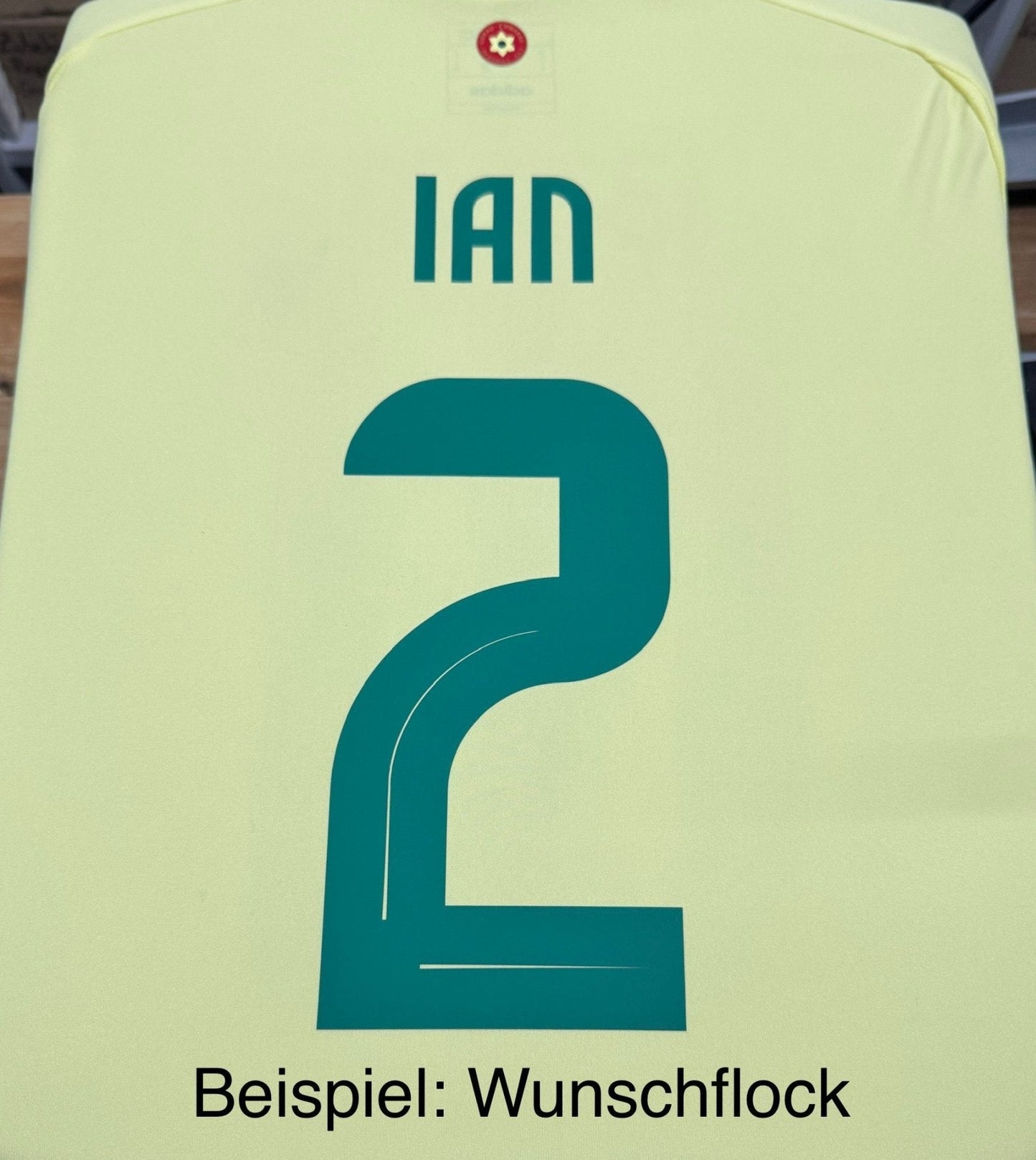 FAW WALES Auswärts-Trikot Herren 24 / 25
