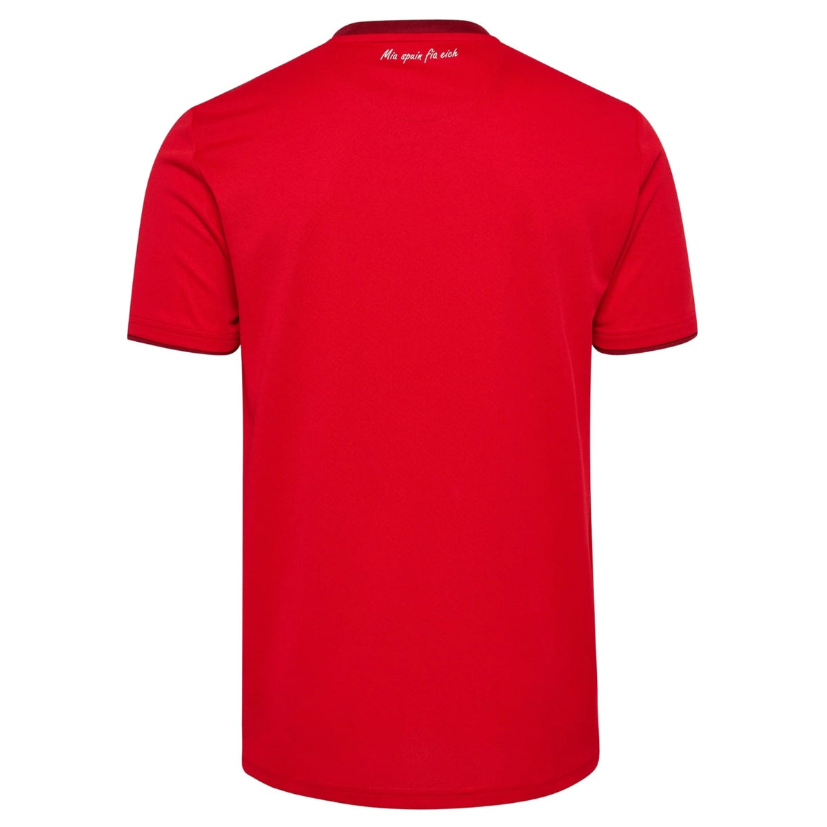 SSV JAHN REGENSBURG 2026/27 camiseta visitante para hombre